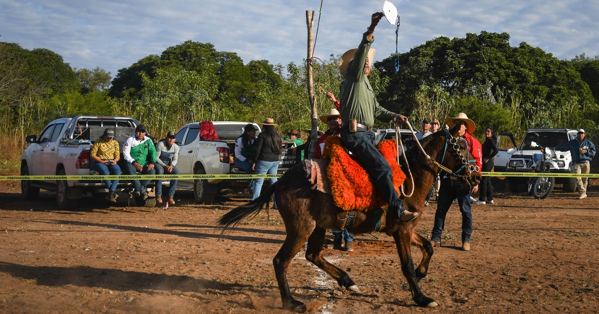 Carrera de caballos en El Carmen Rivero Torrez (Foto: Diego Lagos)